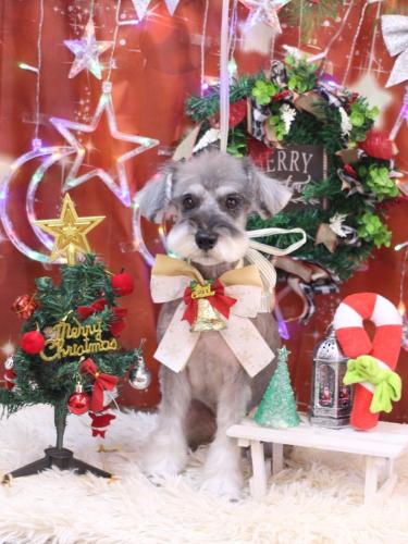 20231229ラーラちゃん